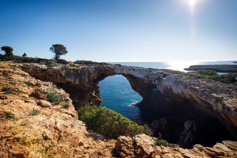 Palma de Mallorca: Private Drach Caves and East Coast Tour - Key Points