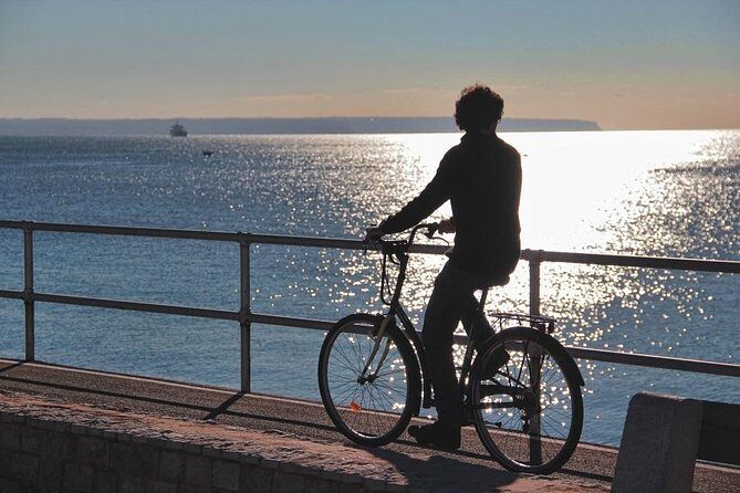 Palma de Mallorca Shore Excursion Bike Tour (Transfer Included) - References