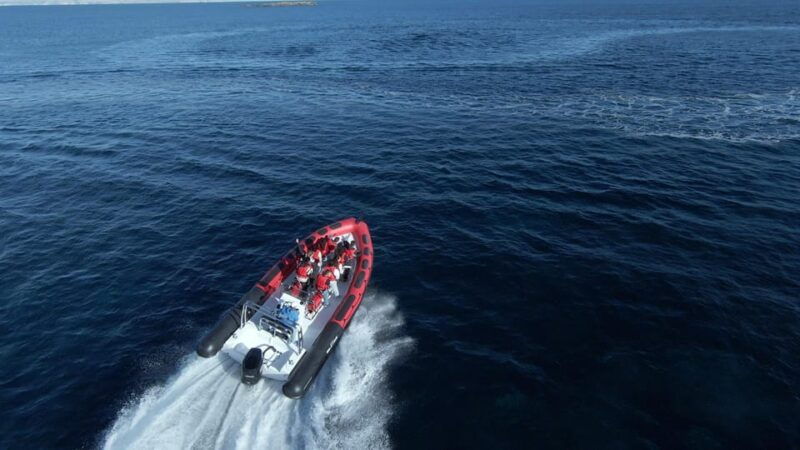 palma-de-mallorca-sightseeing-speedboat-tour-with-pickup