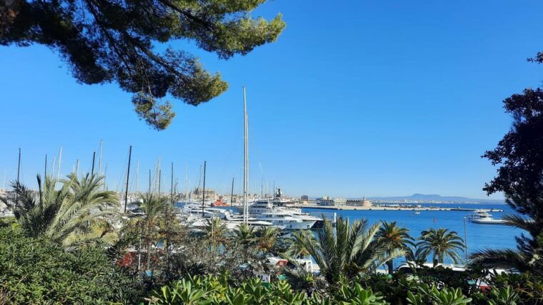 palma-de-mallorca-soller-by-train-city-tour-from-palma