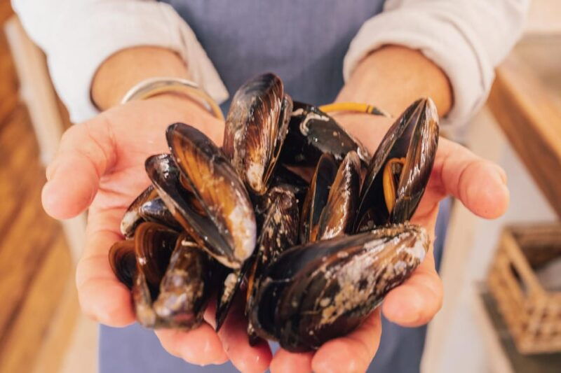palma-de-mallorca-spanish-cooking-experience