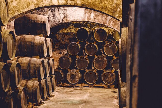 palma-distillery-tour-with-3-spirits-and-gourmet-tapas-tasting
