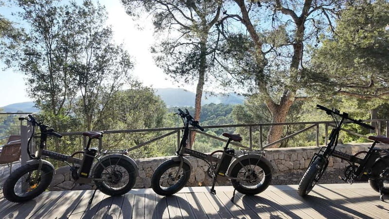 Palma: Electric Mountain Adventure: Ride Higher, Go Farther! - An In-Depth Look at the Adventure