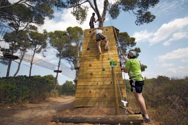 palma-family-or-sports-course-adventure-at-forestal-park