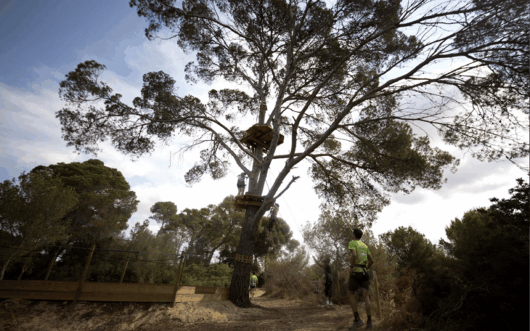 palma-family-or-sports-course-adventure-at-forestal-park