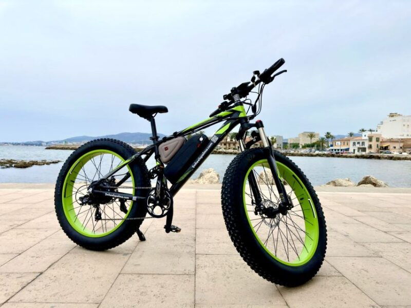 palma-guided-city-tour-with-a-fat-tire-e-bike