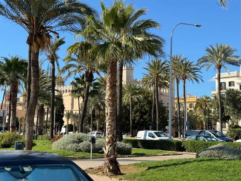 Palma in person and away from the crowds - FAQ  