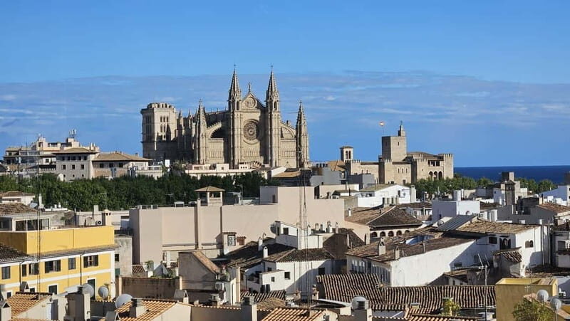 Palma: Old Town Guided Tour with Cathedral Skip-the-Line - An In-Depth Look at The Tour Experience