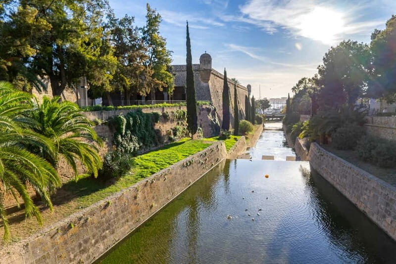 Palma: Old Town Guided Tour with Cathedral Skip-the-Line - Authentic Insights from Reviews