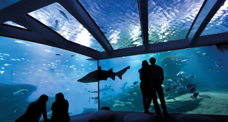 palma-palma-aquarium-ticket-with-transfer-service