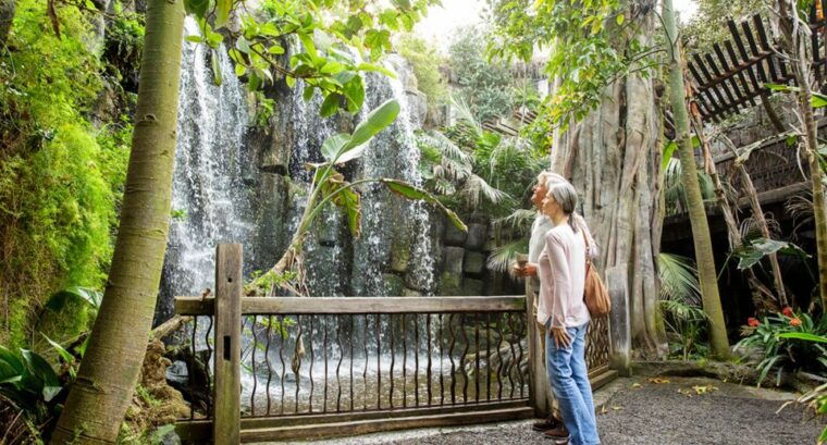 palma-palma-aquarium-ticket-with-transfer-service
