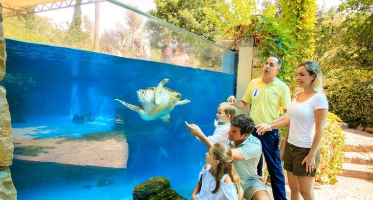 palma-palma-aquarium-ticket-with-transfer-service
