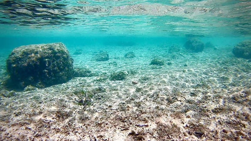 Palma: Private Boat Tour in Mallorca with Snorkel and Paddle - Who Is This Tour Best For?