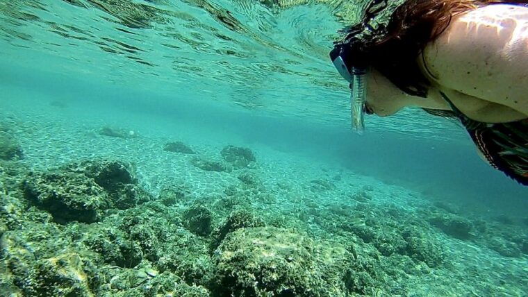 palma-private-boat-trip-in-mallorca-with-snorkeling
