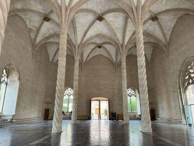 palma-shore-excursion-bike-tour-transfer-included