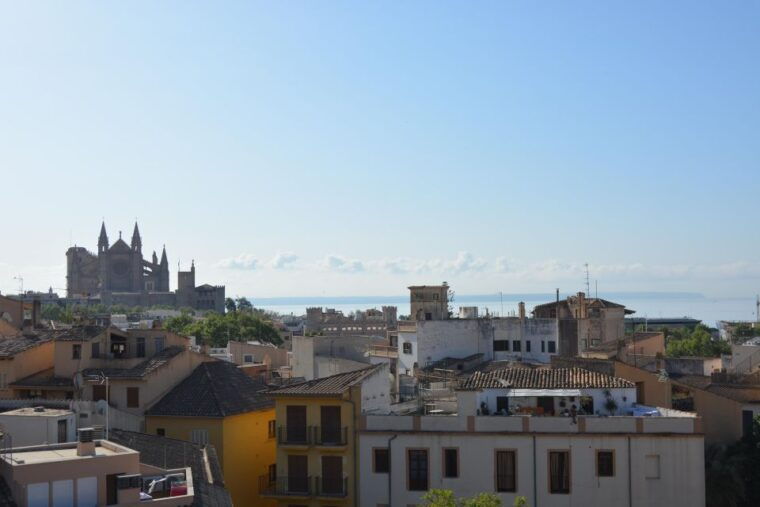 palma-shore-excursion-bike-tour-transfer-included