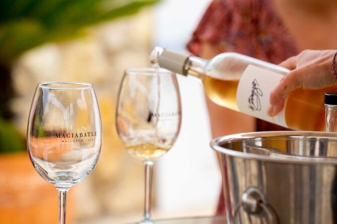 palma-tapas-tour-the-original