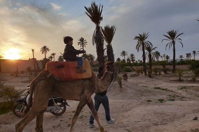 Palmerai groove Camel Ride with SunSet - The Sum Up