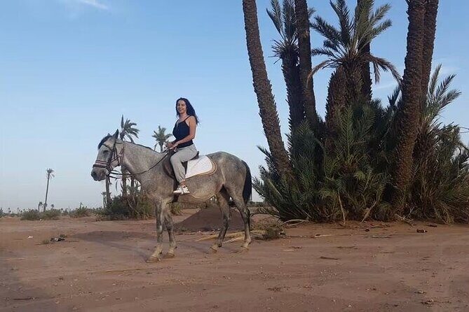 Palmeraie Grove Horse Ride 2 Hour Trip with Transfer - Marrakesh - Key Points