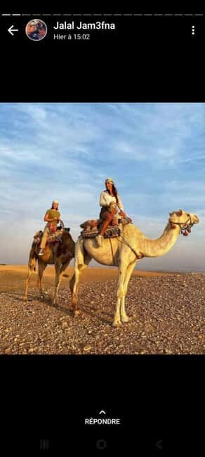 Palmeraie Marrakech Camel Ride & Quad Bike Package Exprience - Key Points