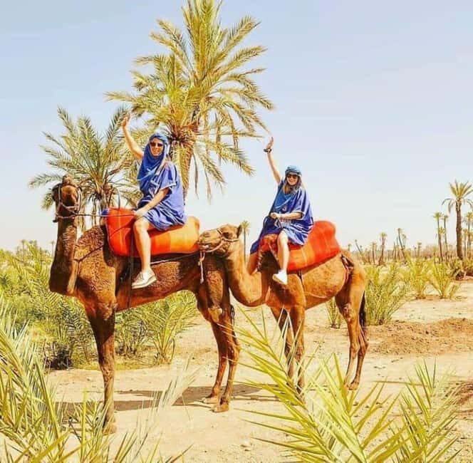 Palmeraie Marrakech Camel Ride & Quad Bike Package Exprience - Price and Value