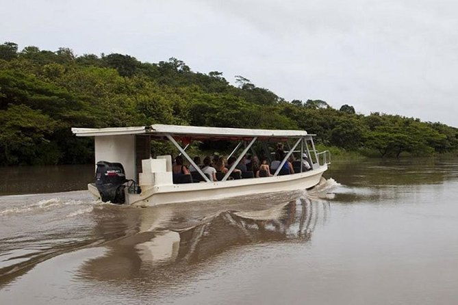 palo-verde-boat-safari
