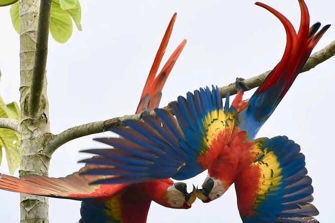 palo-verde-national-park-boat-safari-1-2-day
