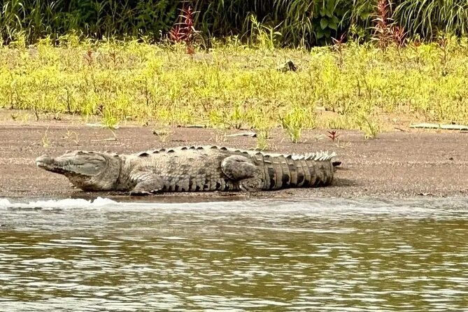palo-verde-national-park-boat-safari-1-2-day