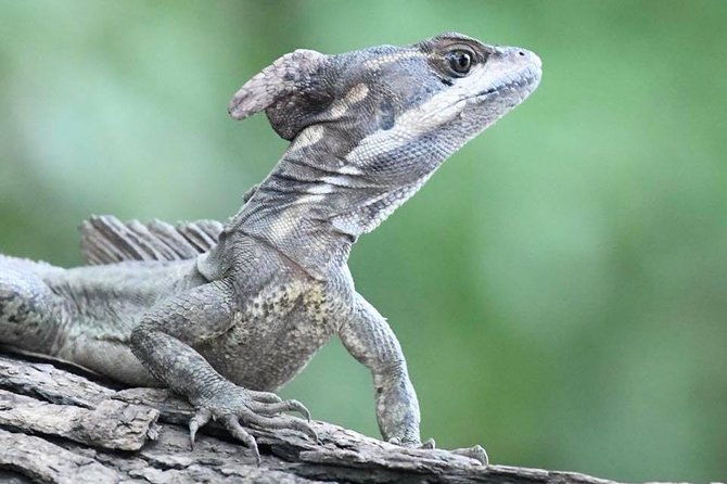 palo-verde-national-park-boat-tour