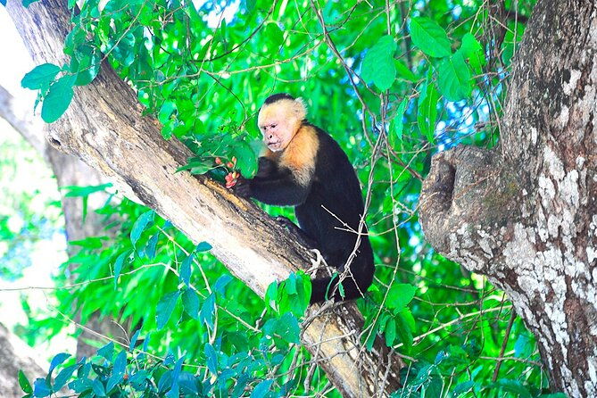 palo-verde-national-park-by-costa-rica-xplores