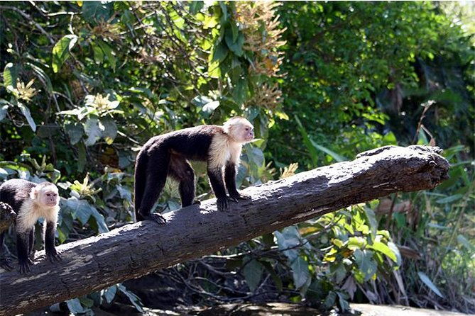 palo-verde-national-park