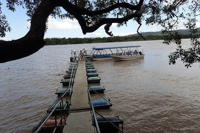 palo-verde-national-park
