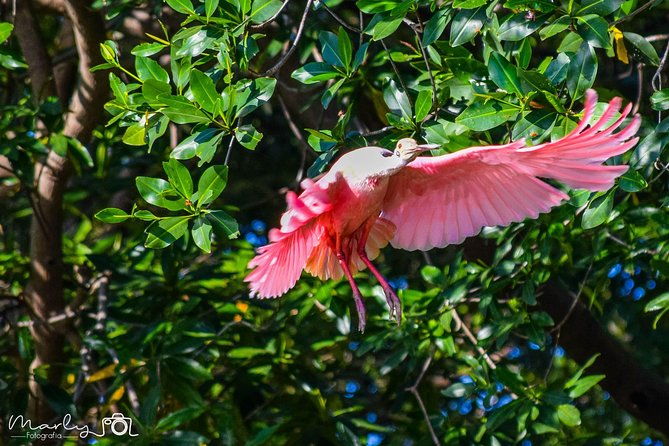 palo-verde-national-park-day-trip