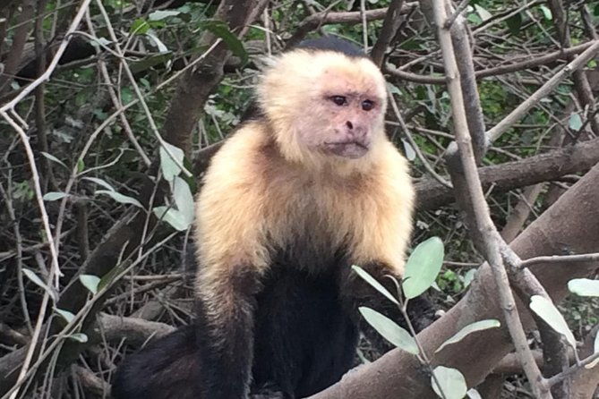 palo-verde-national-park-day-trip