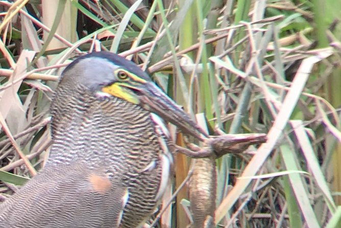 palo-verde-national-park-day-trip