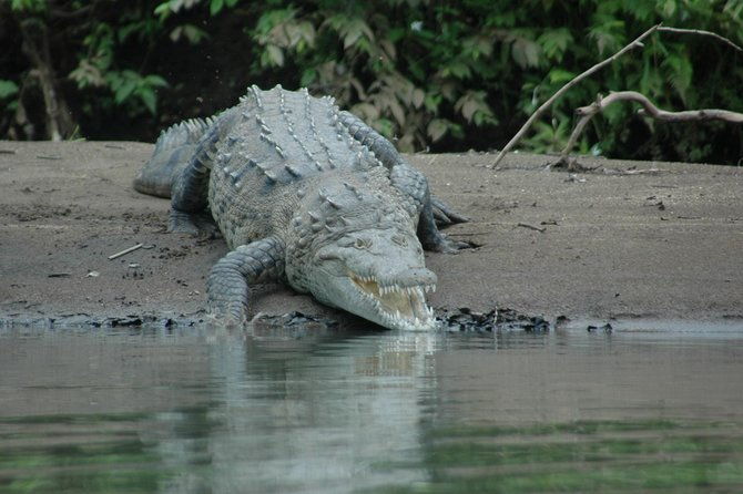 palo-verde-national-park-river-safari-boat-tour