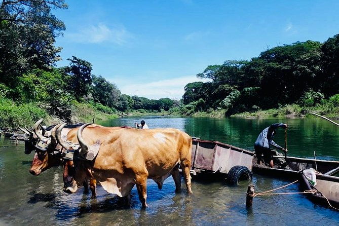 palo-verde-national-park-river-safari-boat-tour