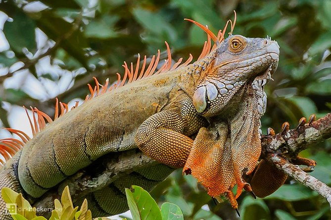 palo-verde-national-park-river-safari-boat-tour