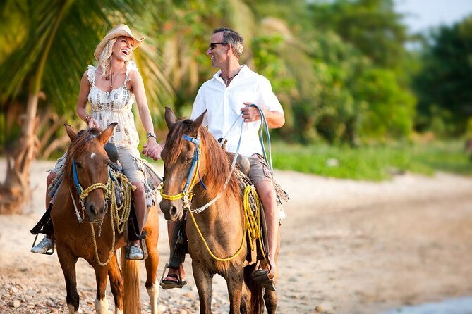 palomino-horseback-riding-tour