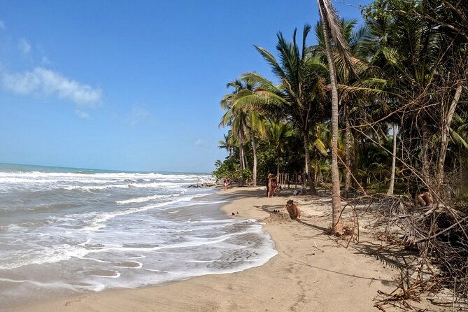 palomino-horseback-riding-tour