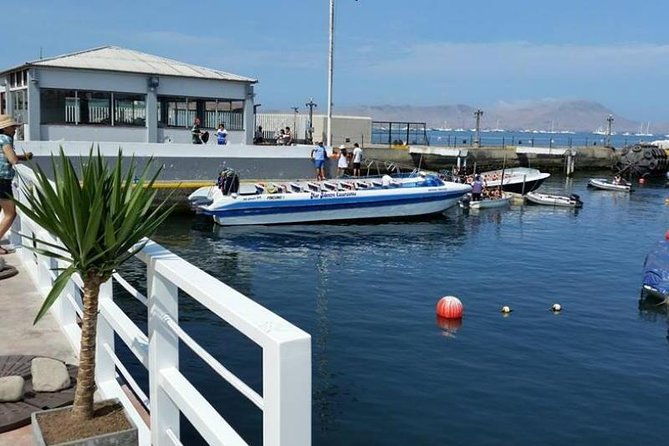 palomino-islands-sea-lion-swimming-tour-from-lima