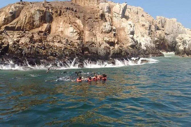 palomino-islands-sea-lion-swimming-tour-from-lima