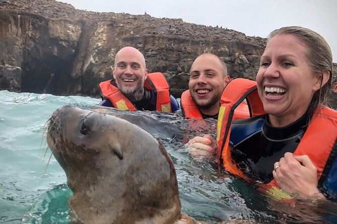 palomino-islands-sea-lion-swimming-tour-from-lima
