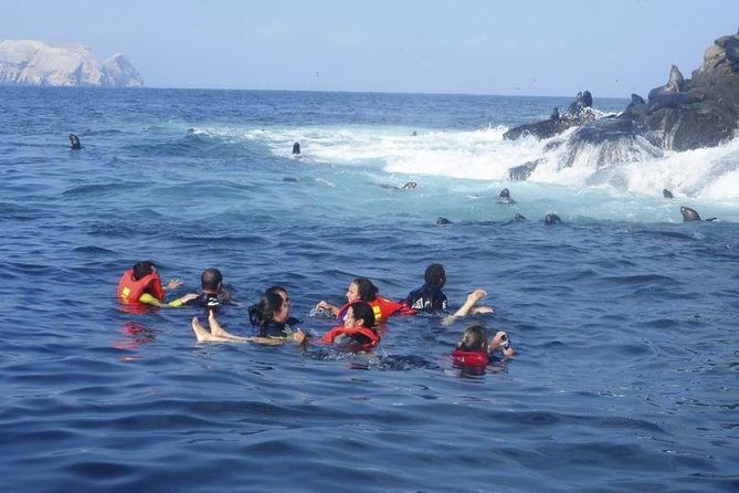 palomino-islands-sea-lion-swimming-tour-from-lima