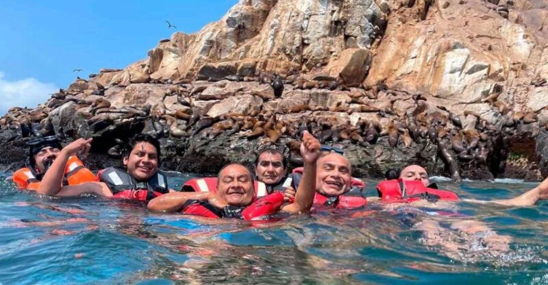 palomino-islands-speedboat-excursion-swim-with-sea-lions