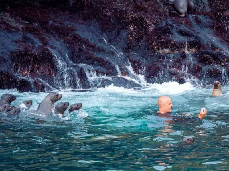 palomino-islands-speedboat-excursion-swim-with-sea-lions