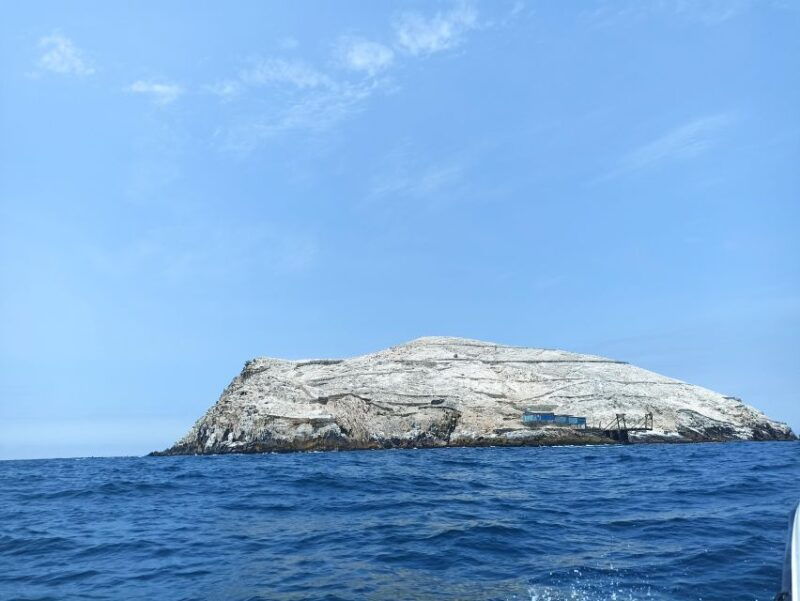 palomino-islands-tour
