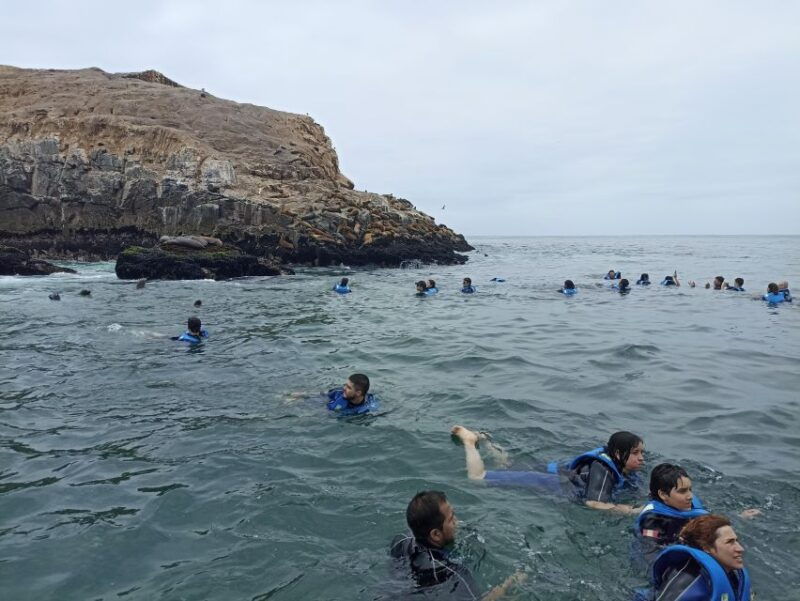 palomino-islands-tour