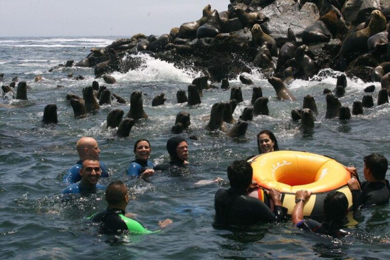 palomino-islands-yacht-tour-and-swim-alongside-the-sea-lions
