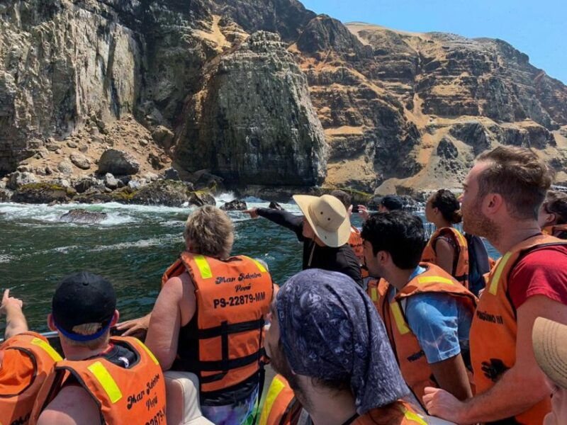 palomino-islands-yacht-tour-and-swim-alongside-the-sea-lions